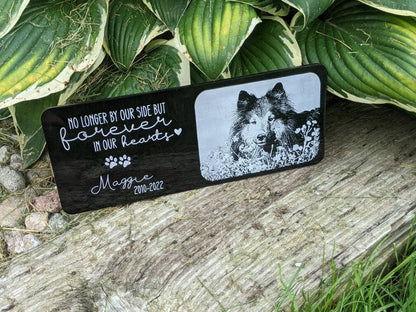 10x4 Outdoor Pet Memorial Bench Plate With Picture