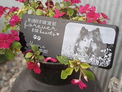 10x4 Outdoor Pet Memorial Bench Plate With Picture