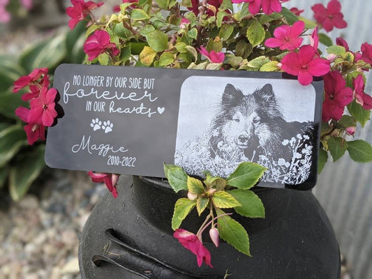 10x4 Outdoor Pet Memorial Bench Plate With Picture